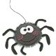 fuzzy_spider
