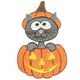      Kitty-In-Pumpkin