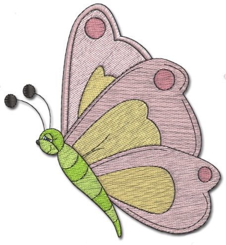 pretty butterfly