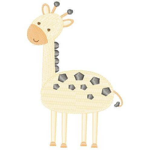 Baby Giraffe